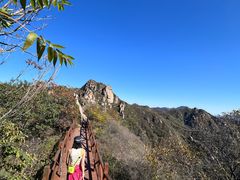 -大岭沟猕猴桃谷风景区