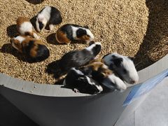 -常州海昌海洋探索馆