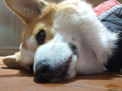 -肥朵食堂(带梦胡同店)