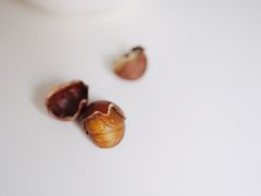 -陈记栗子(长宁路店)