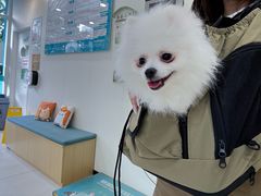 -美联众合动物医院·24h京西诊疗中心