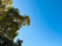 -野鸭湖国家湿地公园