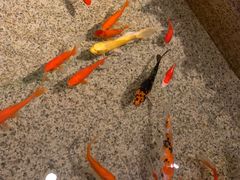 -格兰西点餐厅(文化街店)