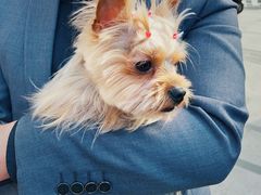 -Pets First伊珊娜洗护·精致美容·家庭式寄养(新会路店)