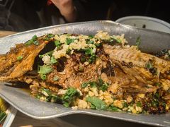 -树厨贵州菜(大十字店)