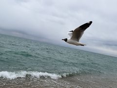 -青海湖二郎剑景区