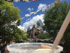 -奥兰多迪士尼动物王国乐园