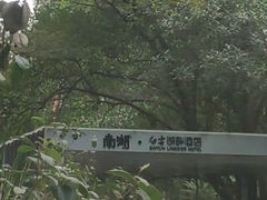 -白云湖畔酒店-湖畔餐厅