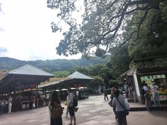 -普陀山风景名胜区-法雨禅寺