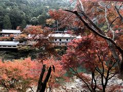 -岚山嵯峨野观光小火车