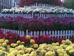 景点-人民防洪胜利纪念塔