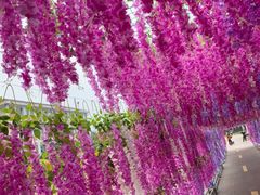 -千龙湖生态旅游度假区