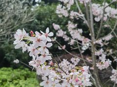 -乌山风景区