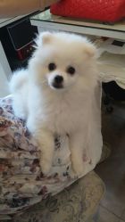 -小红楼美甲美容中心