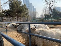 -长白岛森林公园