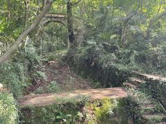 -青龙山国家森林公园