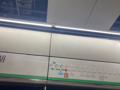 -大剧院(地铁站)