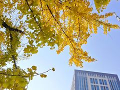 -方山风景区定林寺