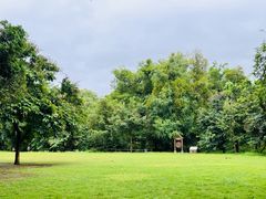 -南宁良凤江国家森林公园