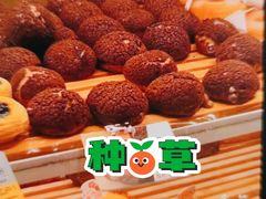 巧克力麦脆-津乐园(中山路店)