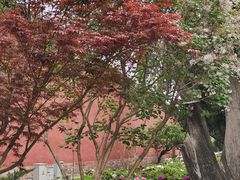 -北京市劳动人民文化宫(太庙)