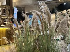 -théATRE茶聚场·餐厅(环球金融中心店)