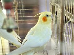 -潇湘·永州会馆(百子湾店)