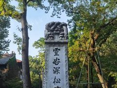 -灵谷景区