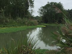 -桤木河湿地公园