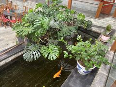 -燕北云山·农家菜·灶台鱼(密云溪翁庄店)
