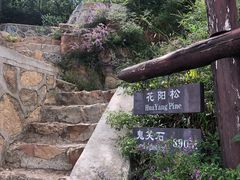 -鬼笑石后山停车场