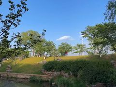 -羊山湖公园