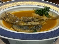 秧草鲍汁巴鱼-酒蜻蜓·庭院私房菜(天元东路店)