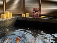 -春晖园度假酒店温泉