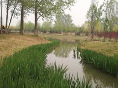 -东郊湿地公园