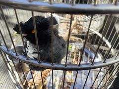 -伊隆斋(什刹海店)