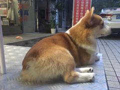 门面-小梁哥云吞面(黄贝岭店)