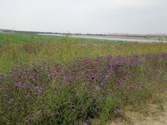 -万源龙顺度假庄园生态观光园