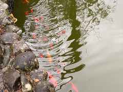 -海南文笔峰盘古文化旅游区
