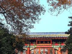 -灵谷景区