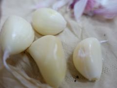 -回坊马二饺子馆