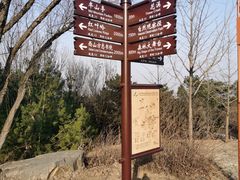 -北京西山国家森林公园