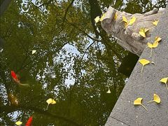 -万寿八仙宫