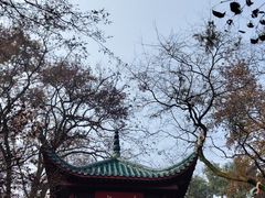 -岳麓山风景名胜区