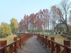-金银湖国家城市湿地公园