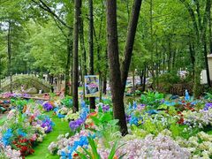 -洛阳白云山景区