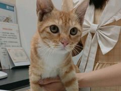 -派特宠物医院(圆融广场店)