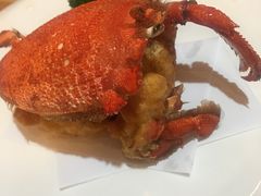 -割烹旭日本料理(龙湖狮山天街店)