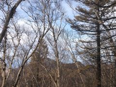 -白草畔自然风景区