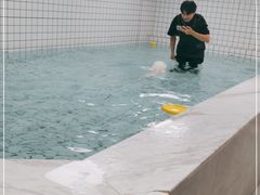 -柚子宠物(伊珊娜调理店)